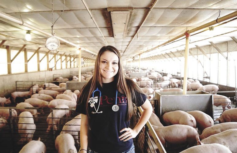 Brooke Kitting wins award to study veterinary medicine and public health